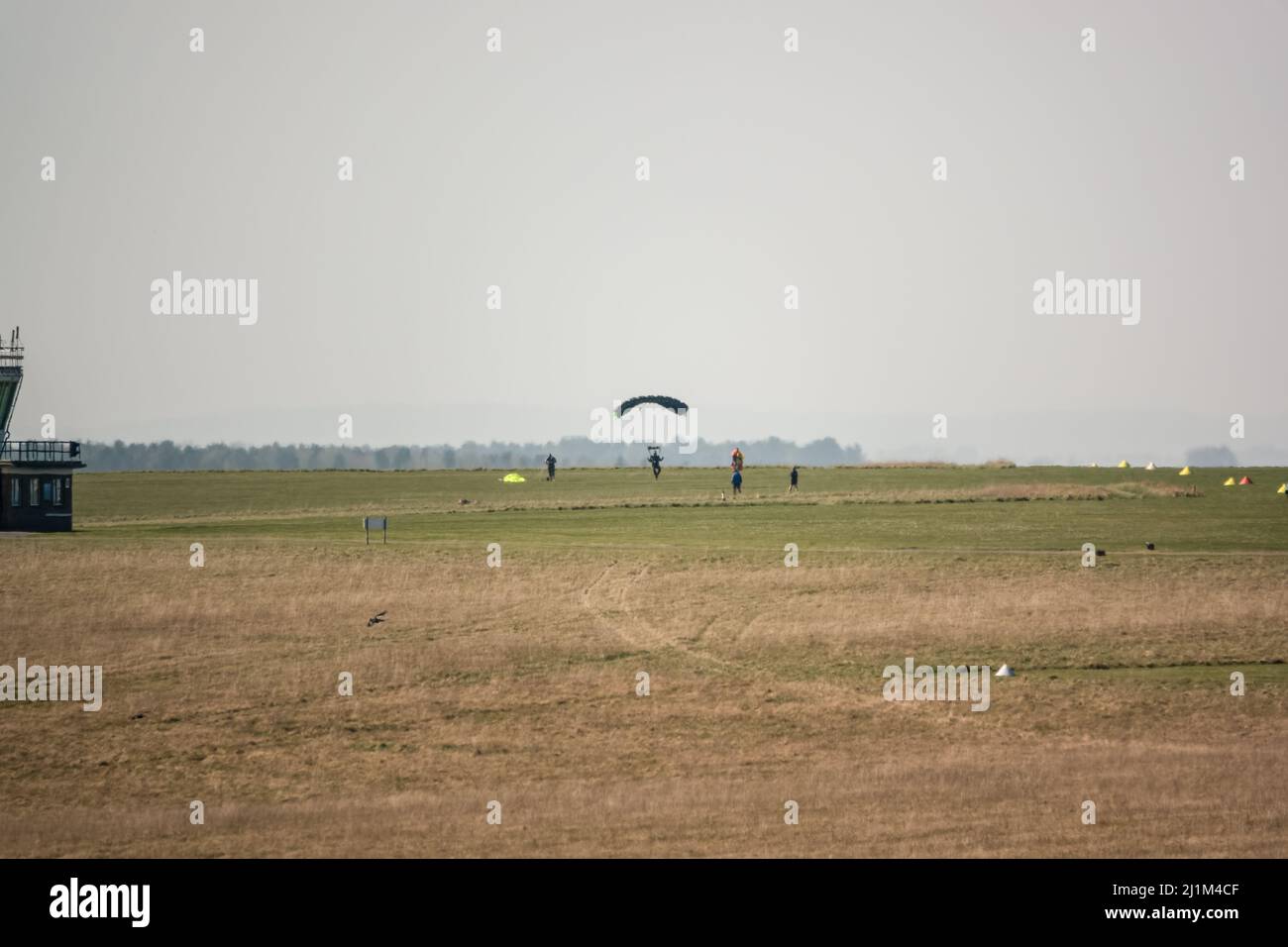Parachute jumper coming in to land on a grass airfield, blue sky Stock Photo