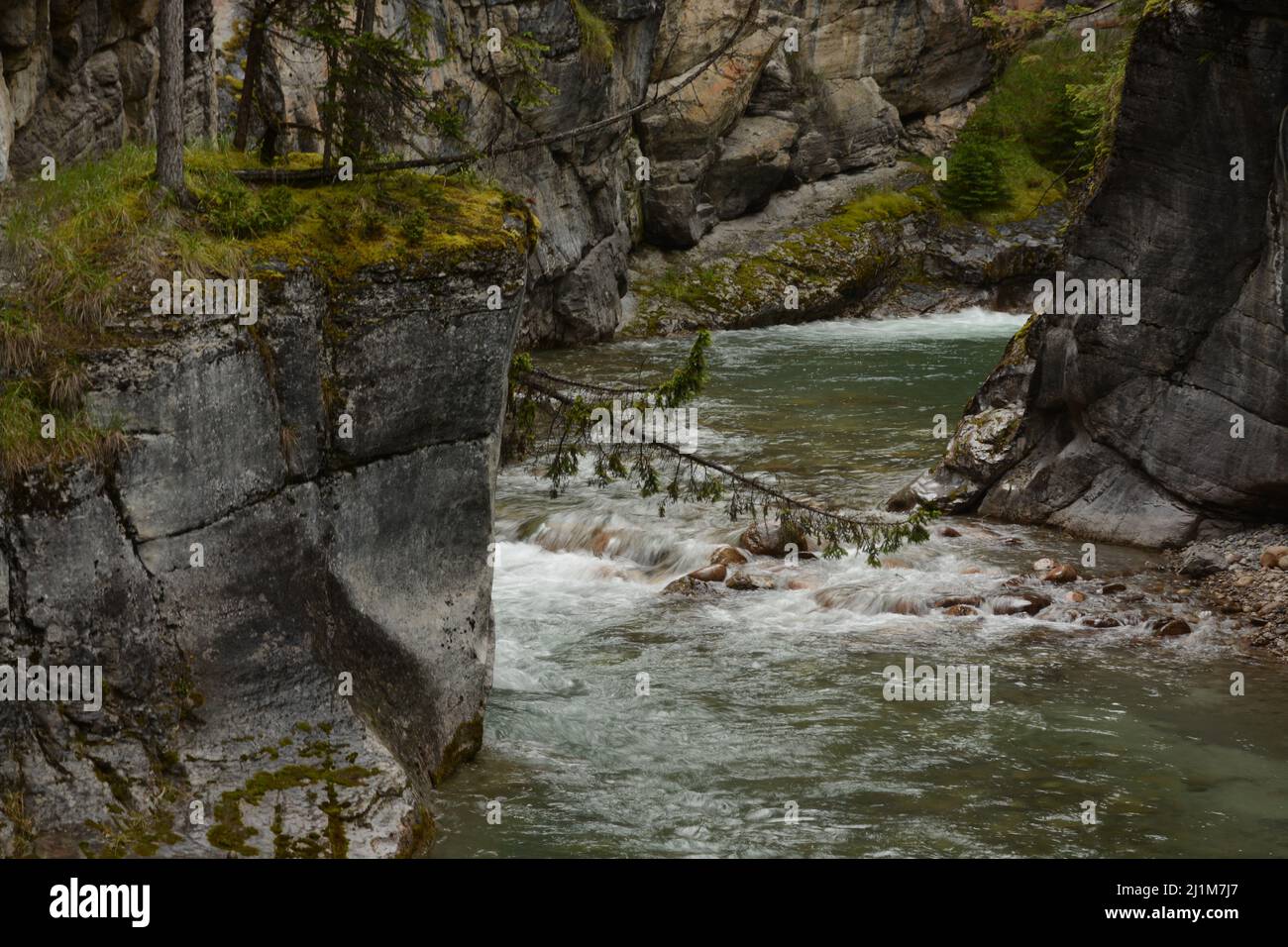 The river between rocks in the forest Stock Photo - Alamy