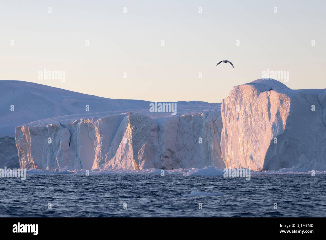 large icebergs floating in the sea in the arctic circle Stock Photo