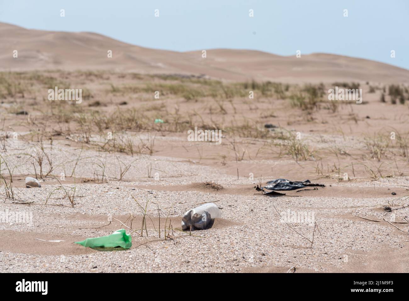 Plastic bottles lying on the sand near the beach with dunes in the background. Concept take care of the earth. Stock Photo
