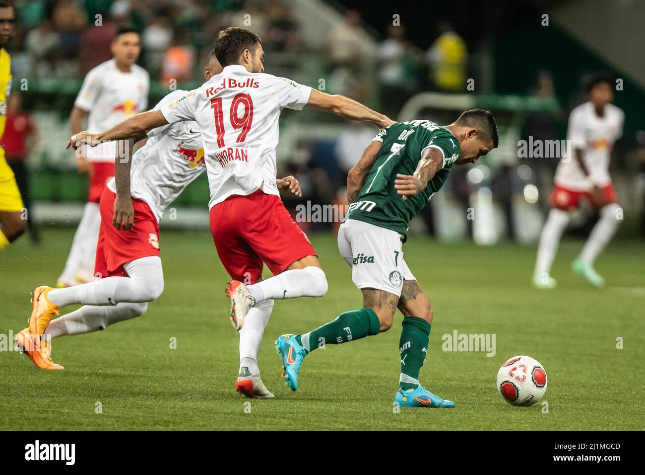 Rony palmeiras hi-res stock photography and images - Page 5 - Alamy