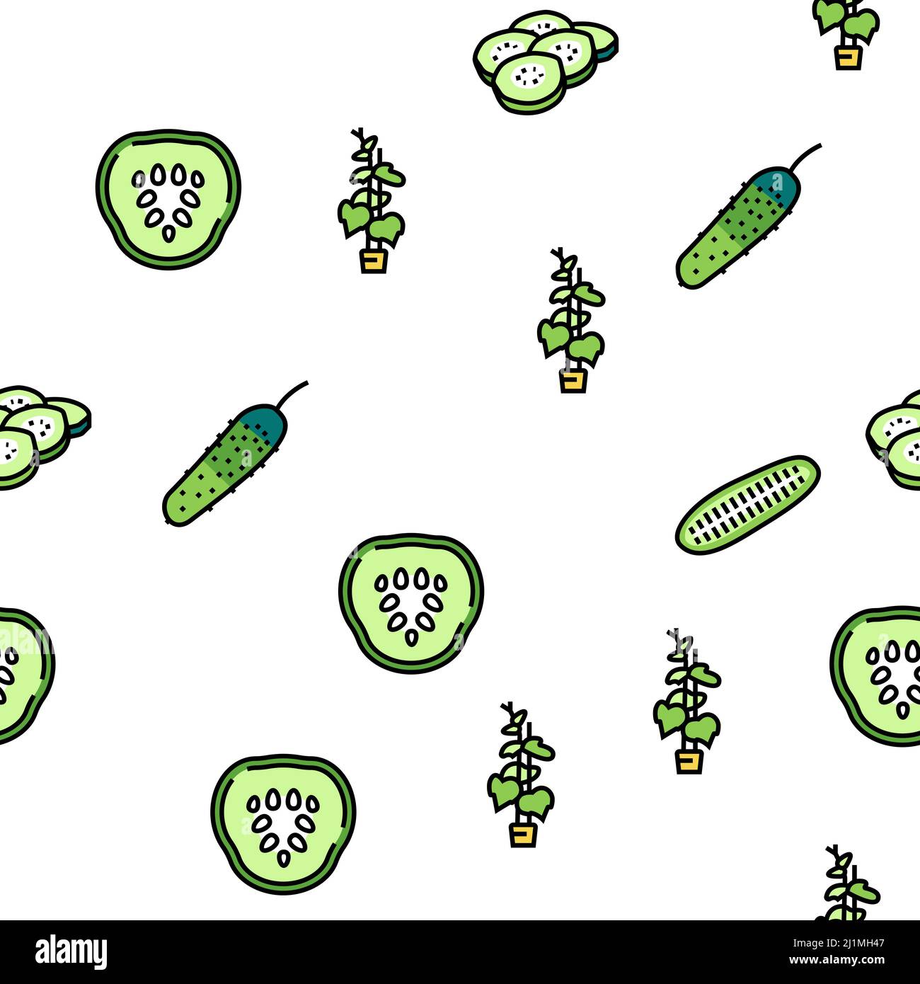 Cucumber Natural Bio Vegetable Vector Seamless Pattern Stock Vector ...