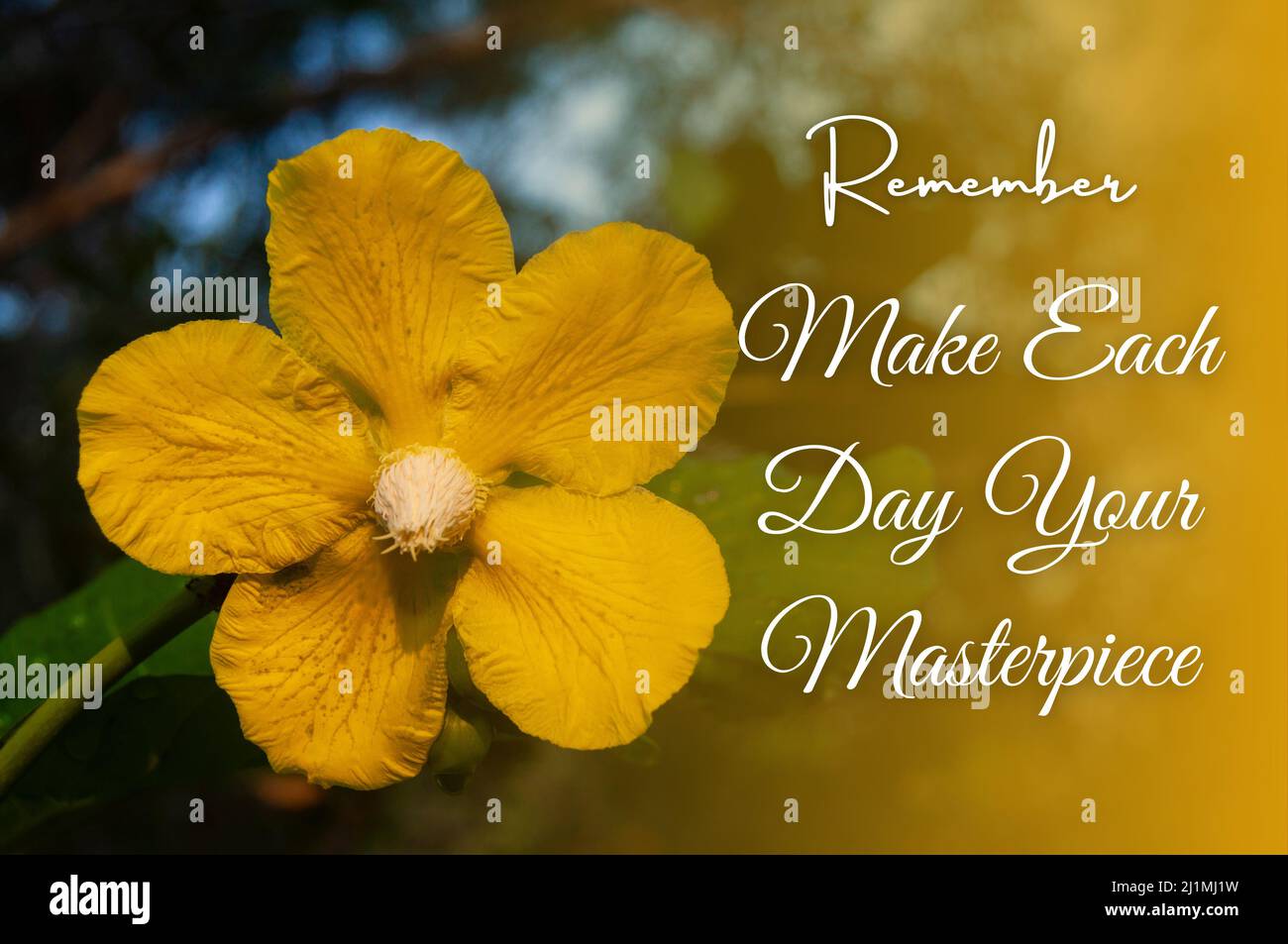 Motivational and inpirational quote -Make each day your masterpiece. With yellow flower and blurred nature background. Motivational concept Stock Photo