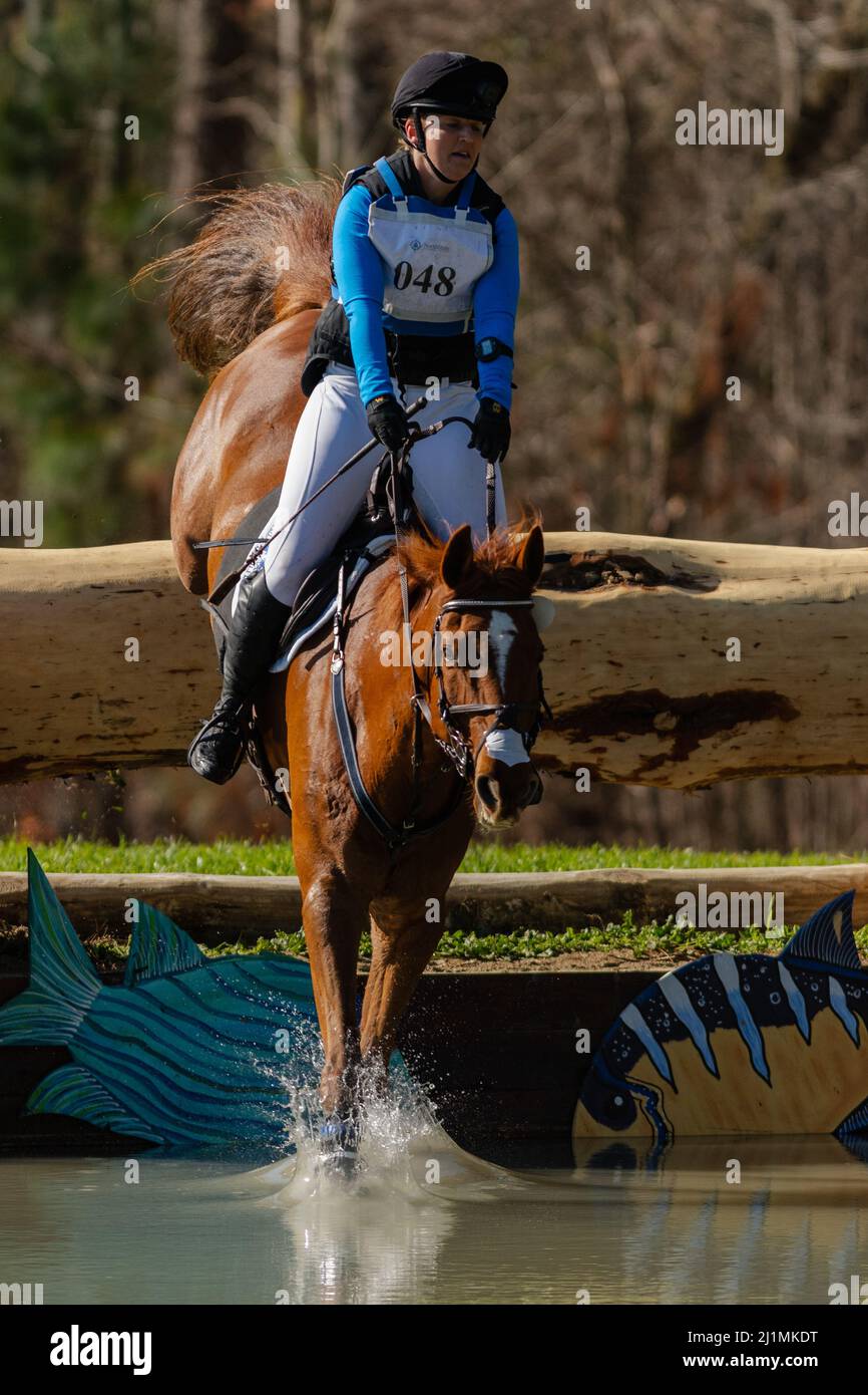 Raeford, North Carolina, USA. 26th Mar, 2022. KRISTINA WHORTON of the United States riding Finnigan competes in CCI3* cross country at the Carolina International CCI and Horse Trial, March 26, 2022 at Carolina Horse Park in Raeford, North Carolina. The Carolina International CCI and Horse Trial is one of North America's premier eventing competitions for national and international eventing combinations, hosting CCI1*-S through CCI4*-S levels and National levels of Training through Advanced. (Credit Image: © Timothy L. Hale/ZUMA Press Wire) Stock Photo