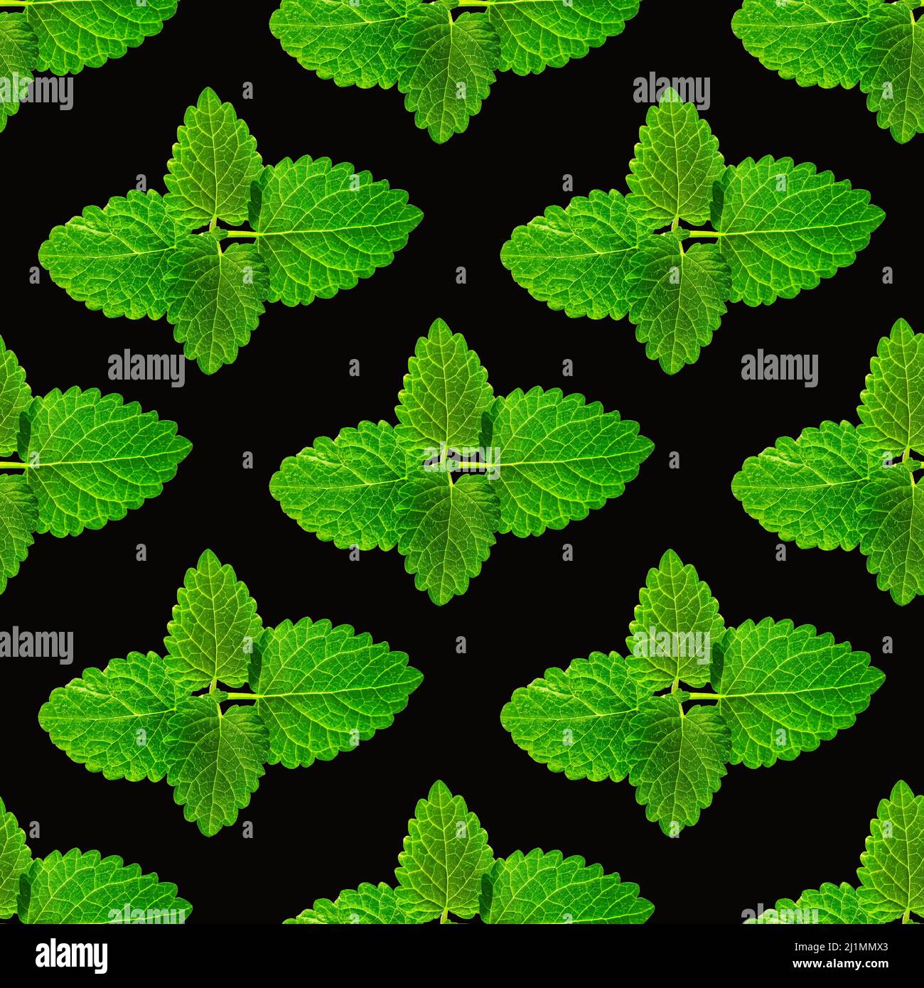 Seamless pattern of fresh mint leaves on black background Stock Photo ...