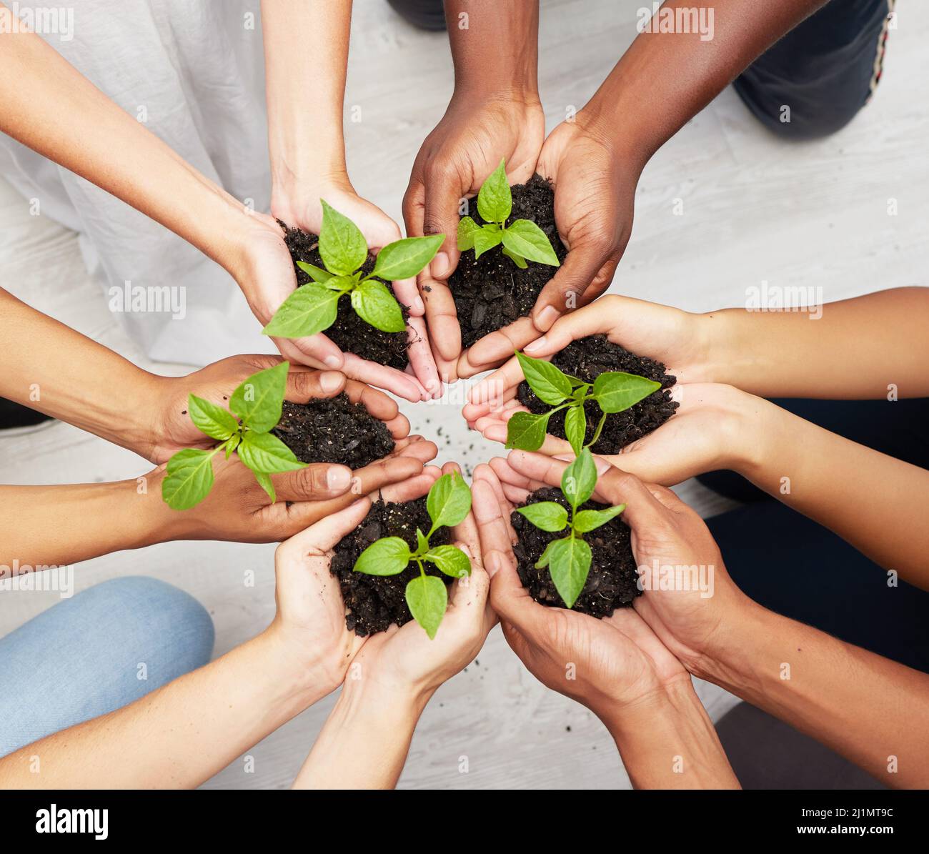 Getting Our Hands Dirty To Help Nature Flourish Shot Of A Diverse 