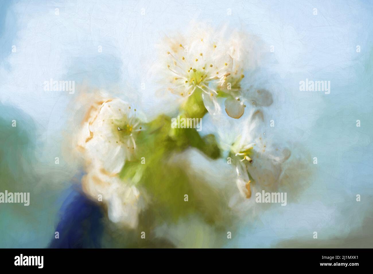 Digital painting of bright small white Cherry Blossom flowers in bloom in the garden with shallow depth of field. Stock Photo