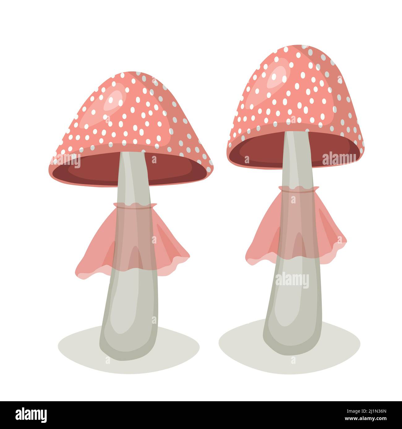 mushroom template card icon color