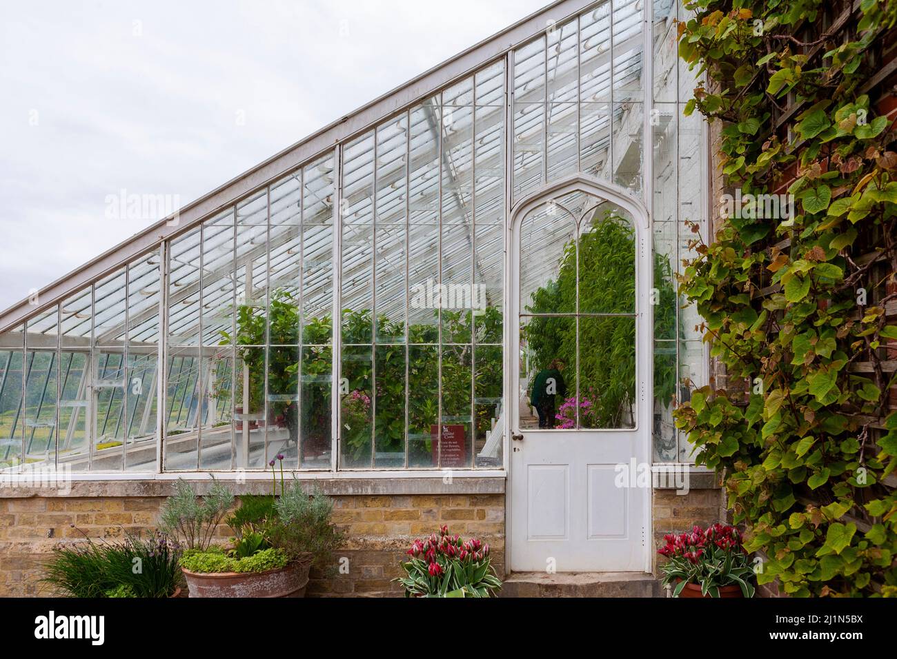 The original Victorian Vine House built in 1850 by Clarke and Hope, Arundel C astle Gardens