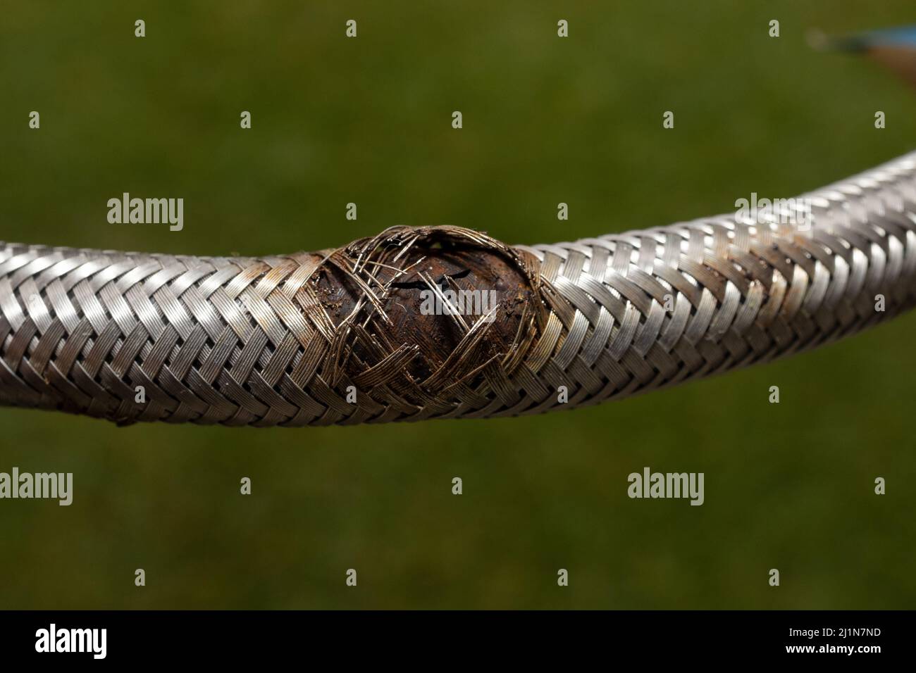 Burst flexible hose to home water outlet Stock Photo Alamy