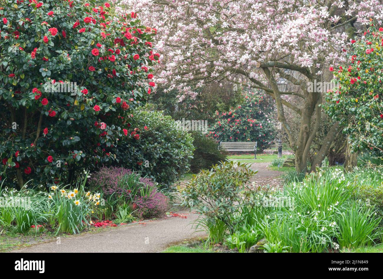 Palmerston Park, Southampton in Spring Stock Photo Alamy