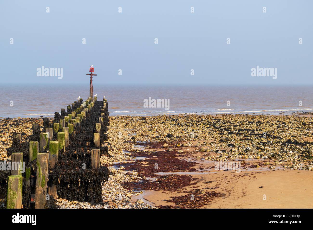 Sea Defences at West Runton on Coast of Norfolk on a Spring Day in March Stock Photo