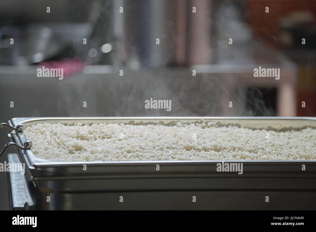 Cozy Koji rice fermentation conference, Bologna 2020 Stock Photo