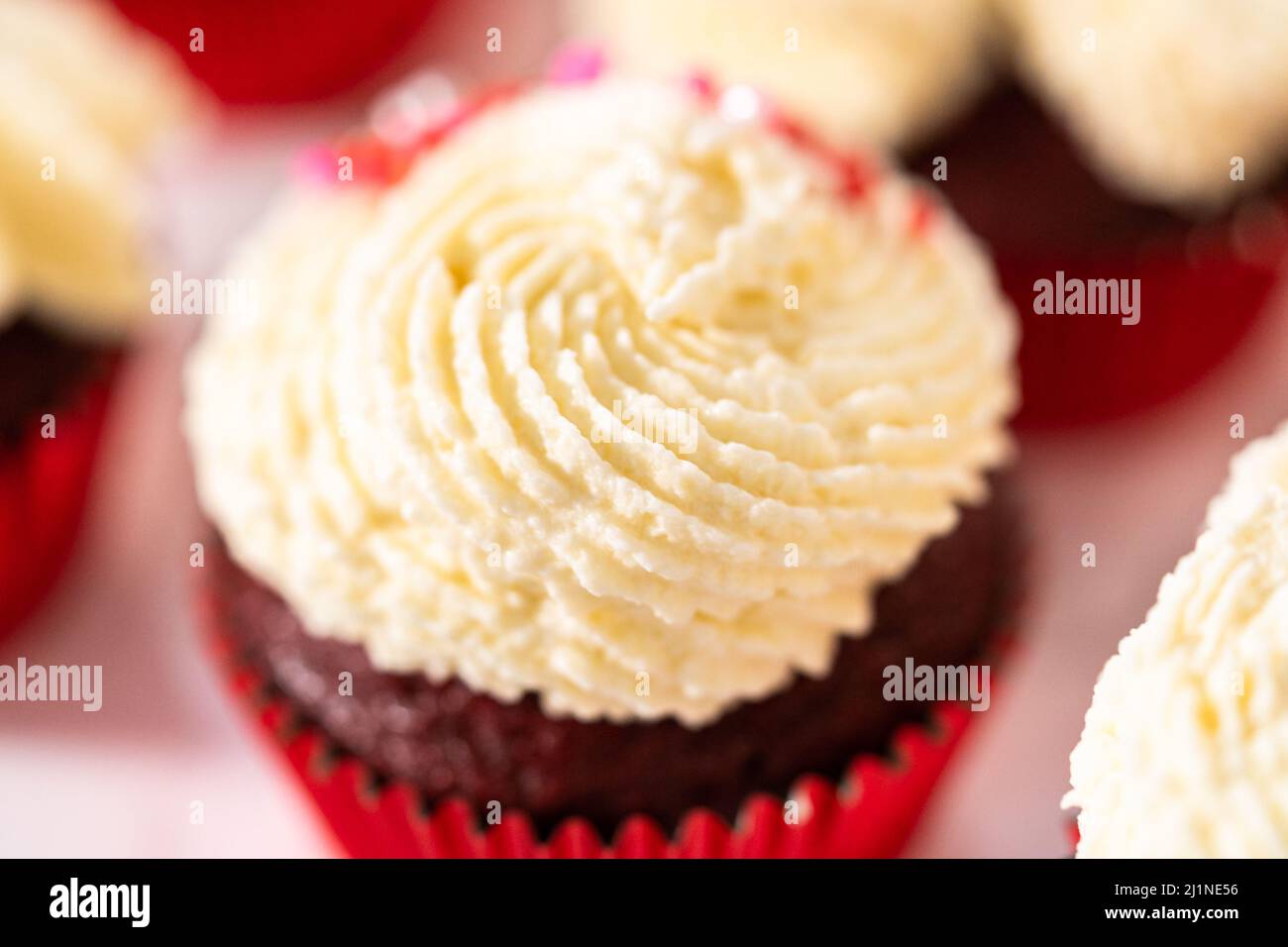Piping white chocolate ganache frosting on top of red velvet cupcakes