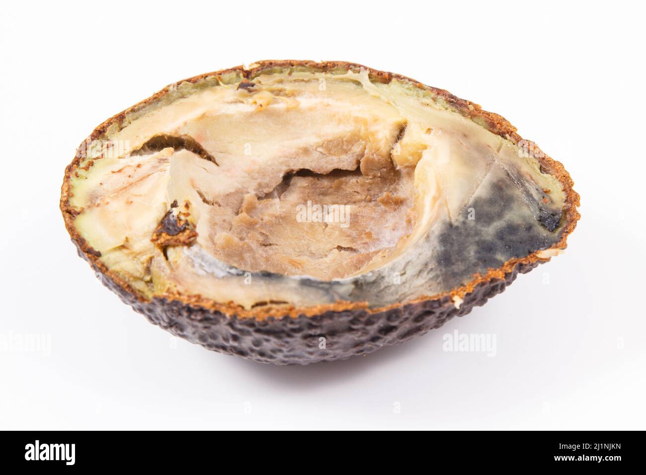 Inedible avocado with mold on white background. Unhealthy food Stock Photo