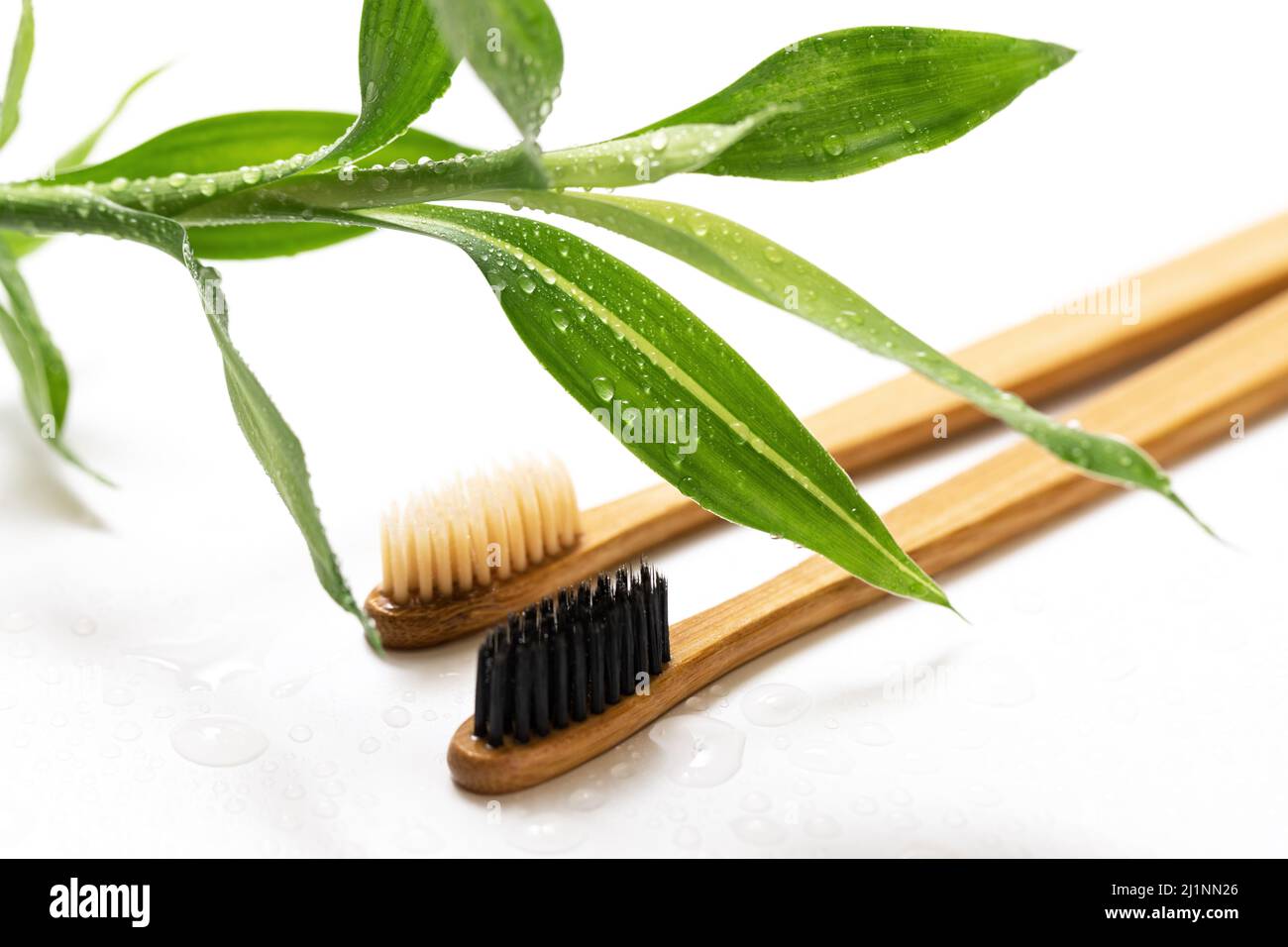 Eco friendly toothbrushes and bamboo plant on white Stock Photo - Alamy