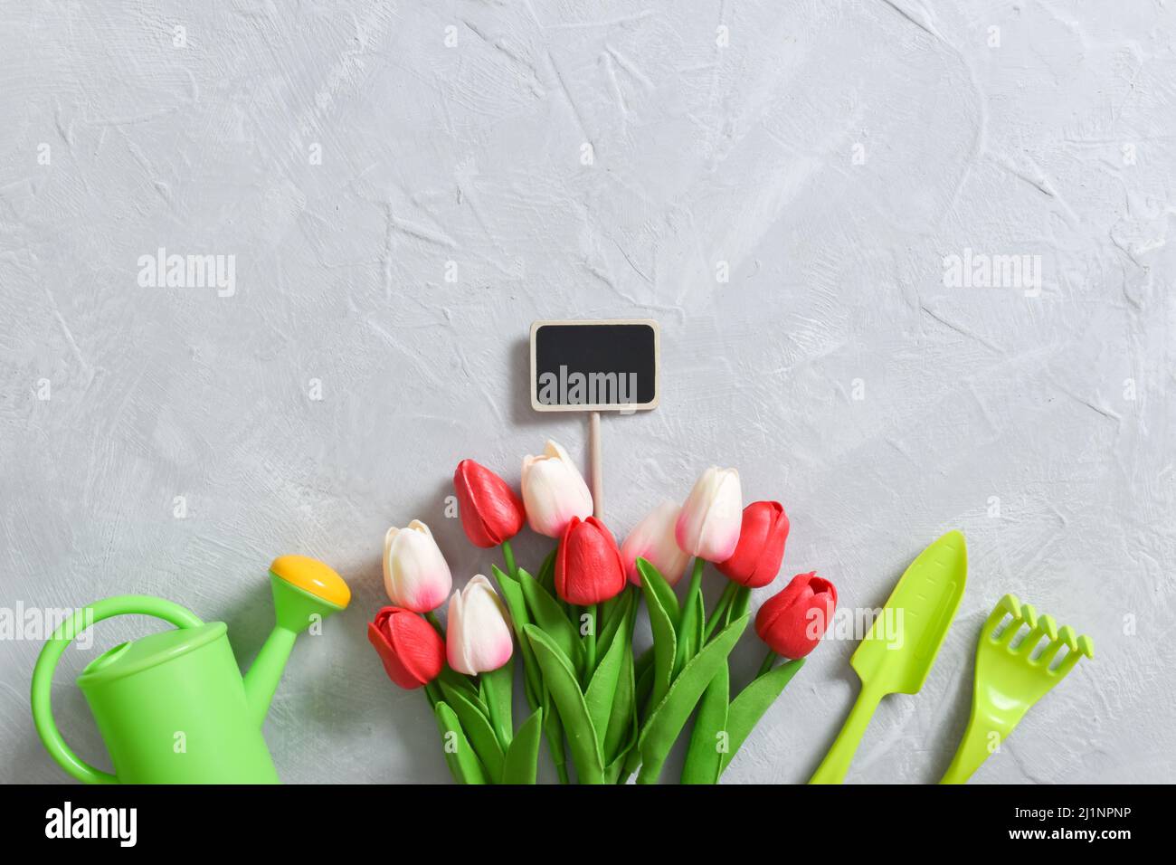 Garden tools and a bouquet of tulips with a small sign for recording. Stock Photo
