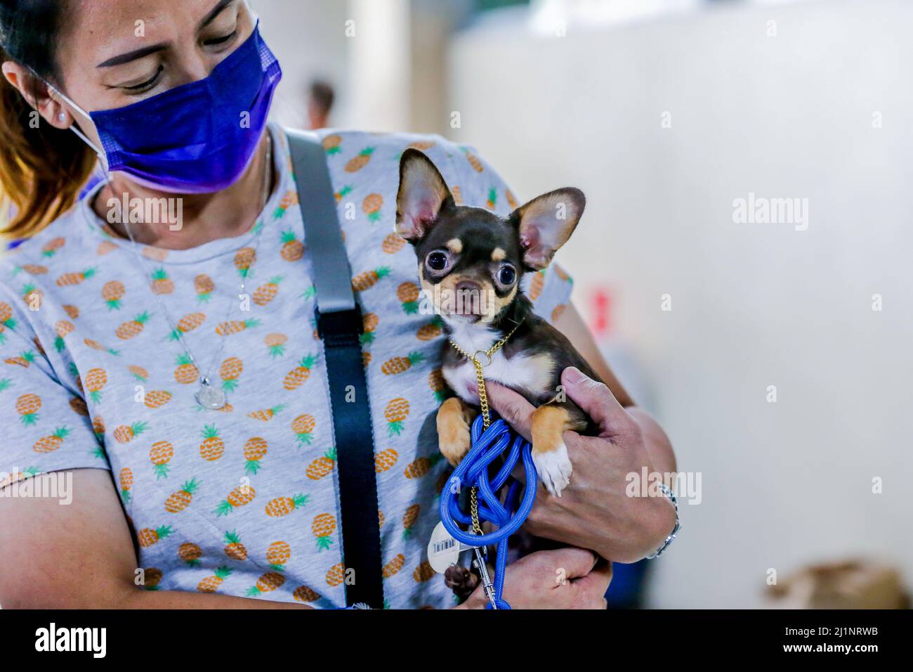 Marikina City. 27th Mar, 2022. A woman shows her dog during the annual All-Breed Championship Dog Show in Marikina City, the Philippines on March 27, 2022. Hundreds of dogs of various breeds competed in the All-Breed Championship Dog Show here Sunday. Credit: Rouelle Umali/Xinhua/Alamy Live News Stock Photo