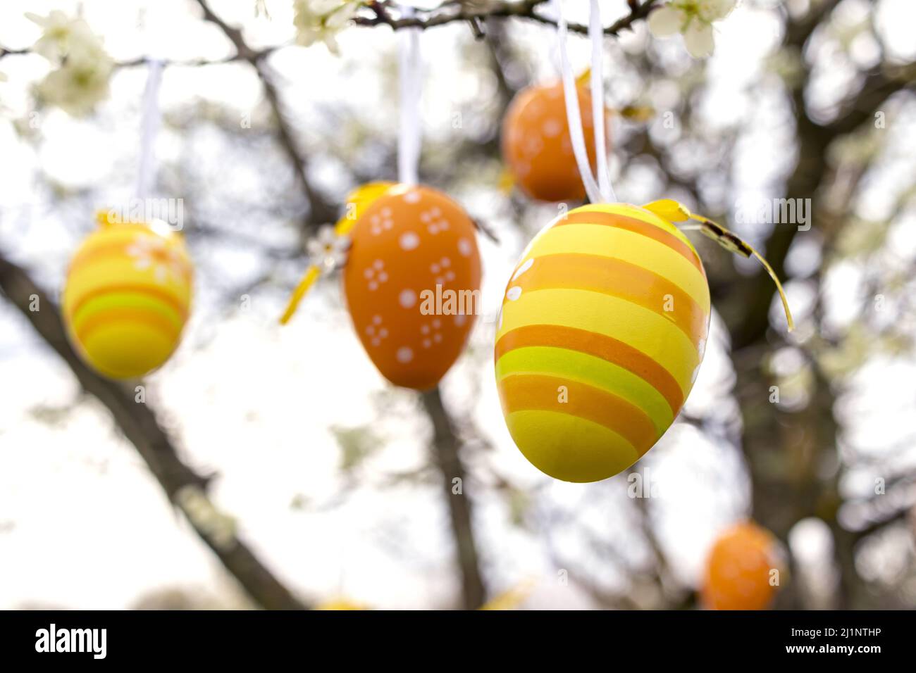 Happy Easter! Easter decorated eggs. Garden tree set up with multicolored Easter eggs. Stock Photo
