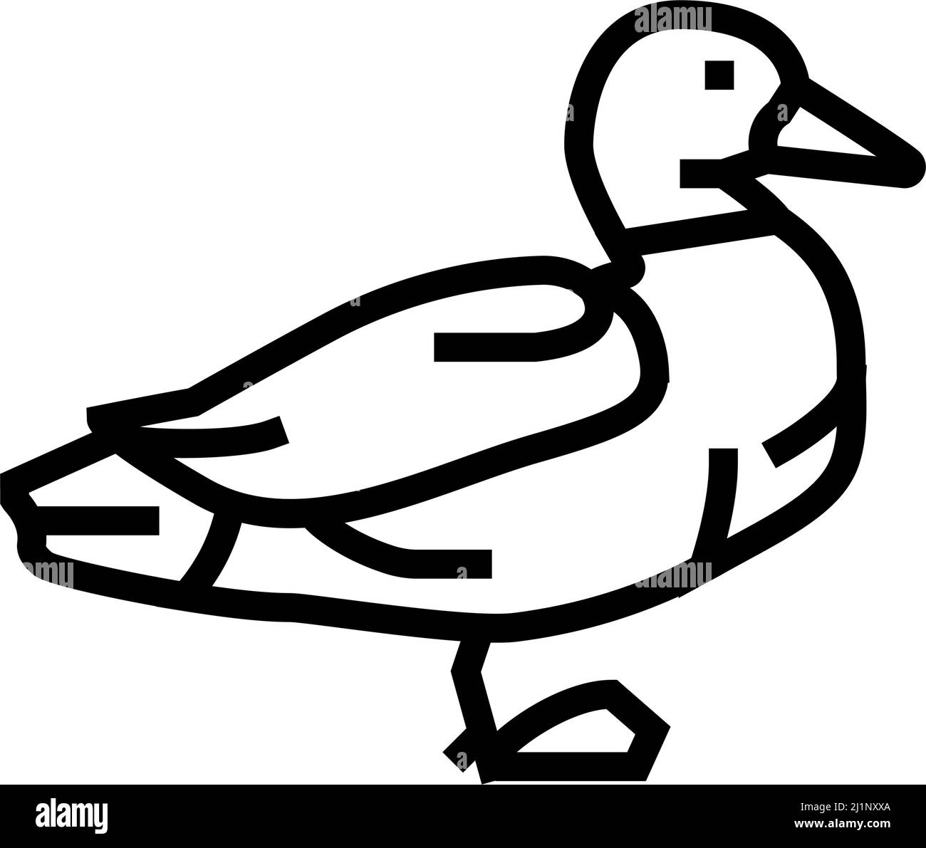 duck bird line icon vector illustration Stock Vector Image & Art - Alamy