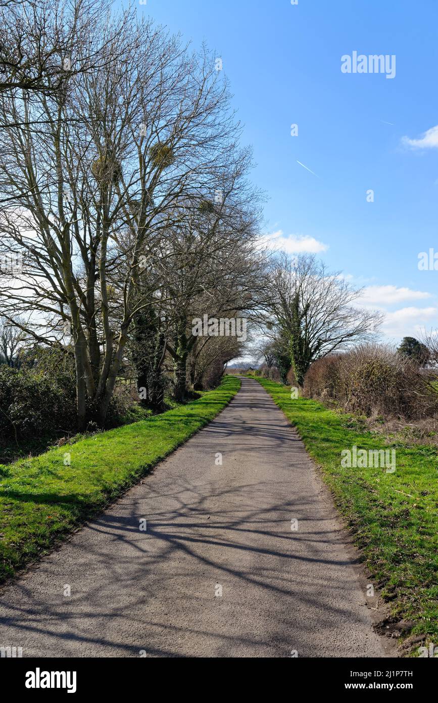 An empty receding country lane on a sunny winters day Berkshire England UK Stock Photo