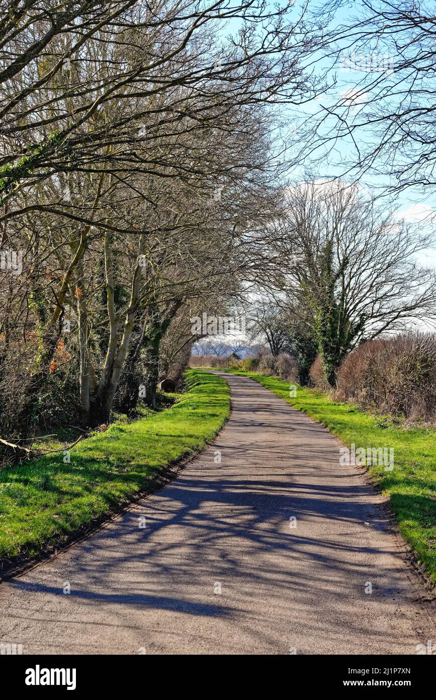 An empty receding country lane on a sunny winters day Berkshire England UK Stock Photo