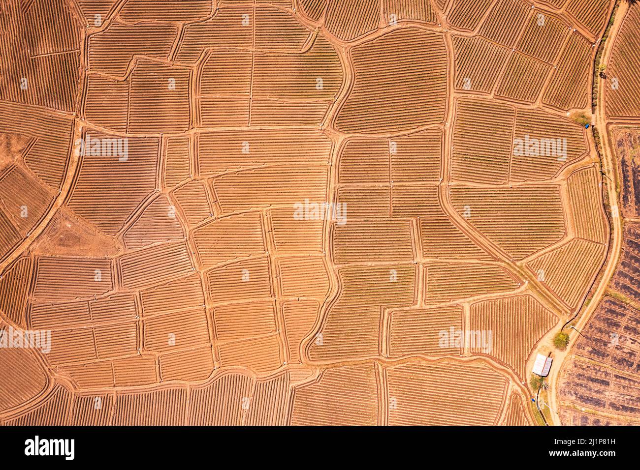 Aerial view of agricultural soil groove, land spot field preparing for