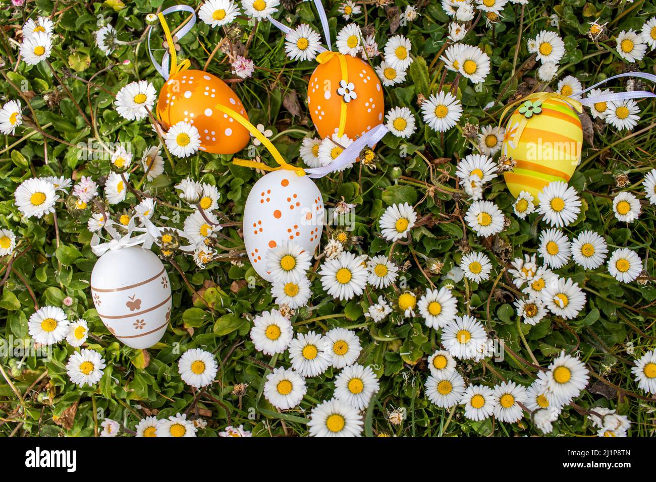 Happy Easter! Easter decorated eggs. Multicolored Easter eggs among daisies in the garden. Stock Photo