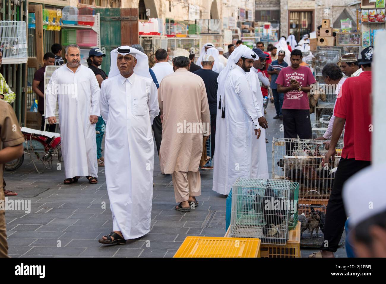 Doha,Qatar March 05, 2022 Street with pet shops within old market