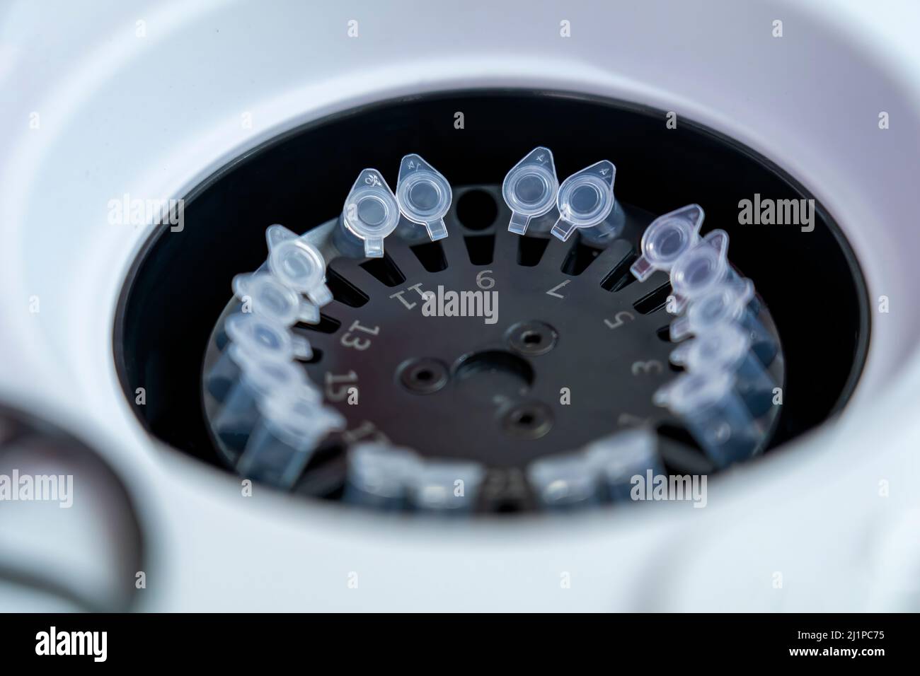 PCR test equipment contain colorless Reaction vessel made of polypropylene  with a tight-fitting lid Stock Photo - Alamy