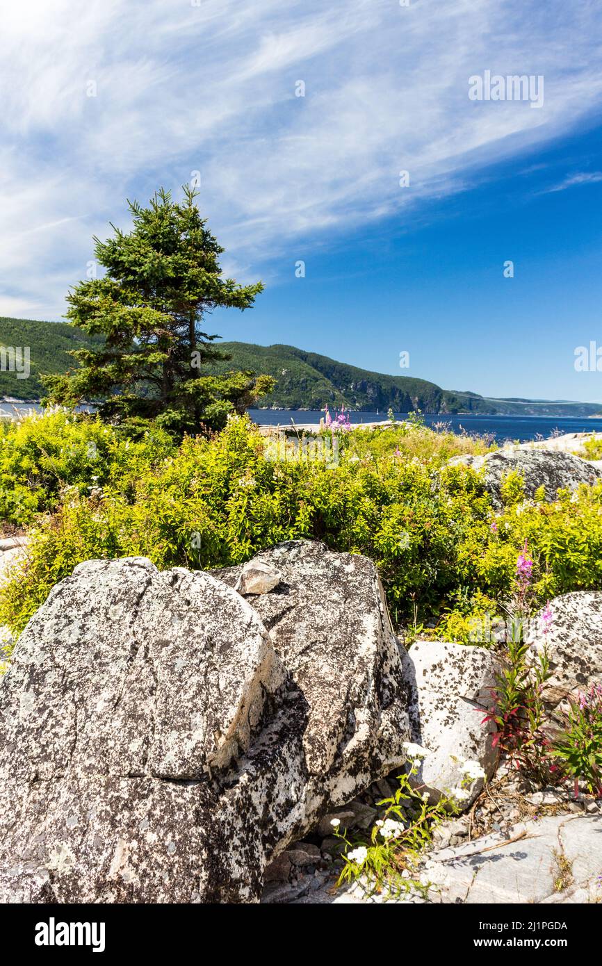 View of Saguenay Fjord where Saguenay river meet StLawrence river