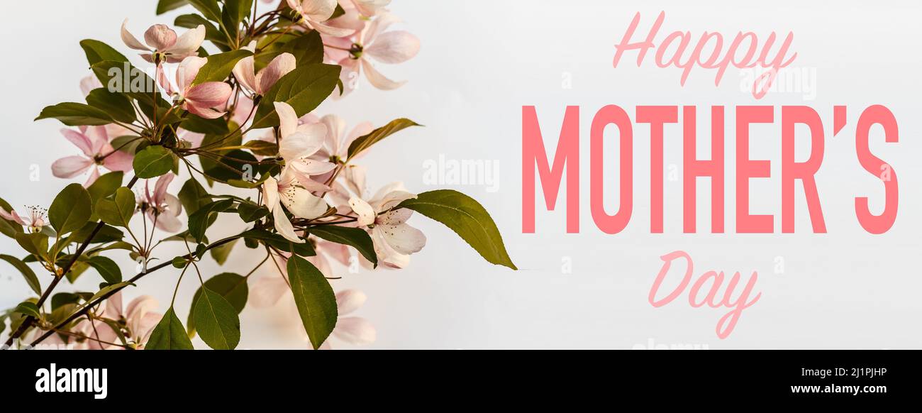 Composition of spring flowers and the inscription Happy Mother's Day. Advertising content for Mother's Day. Flat lay, top view, close up, copy space Stock Photo