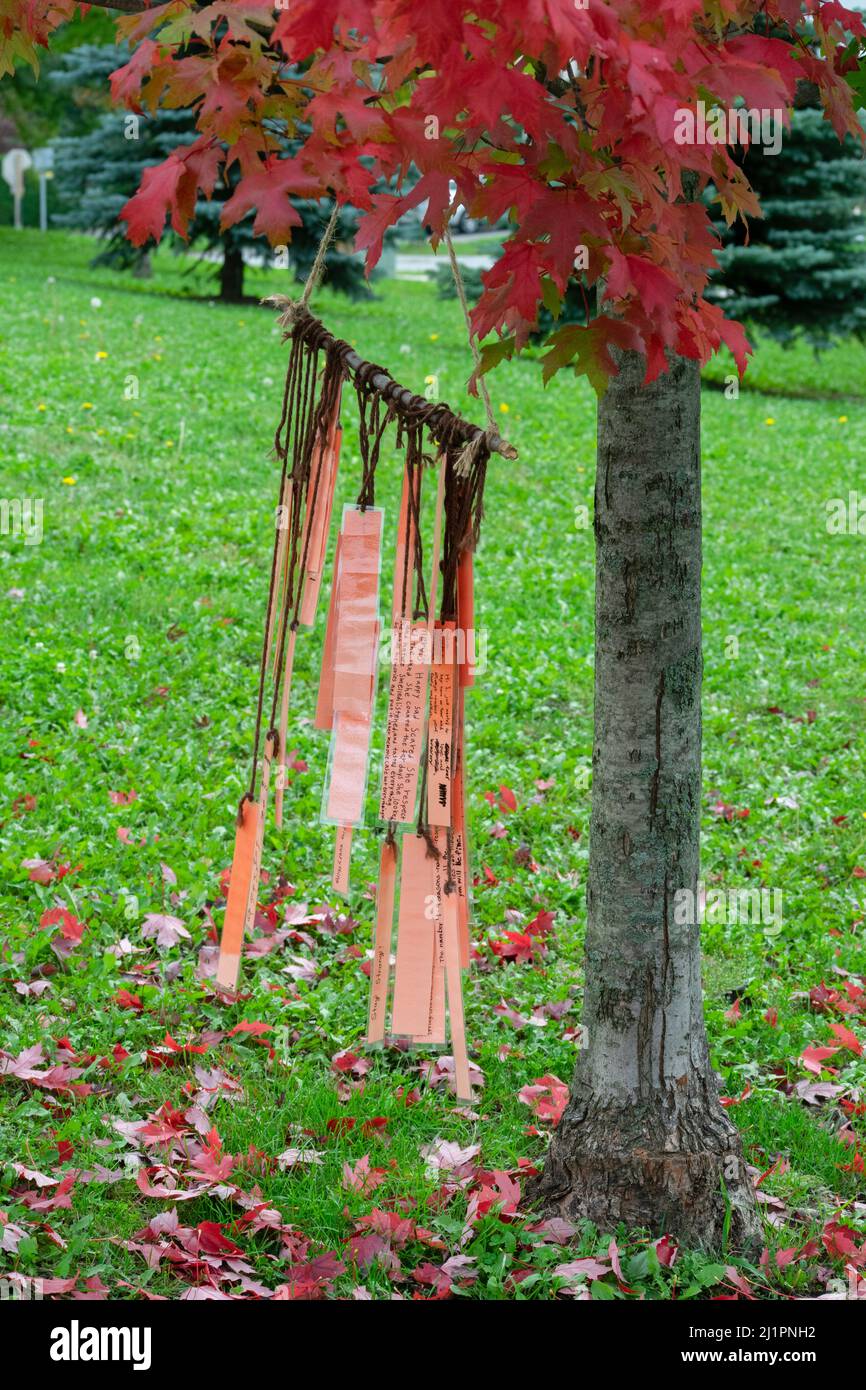 Wishing well and inspirational messages hanging from a maple tree in Fall, Ontario, Canada - stock Photography Stock Photo