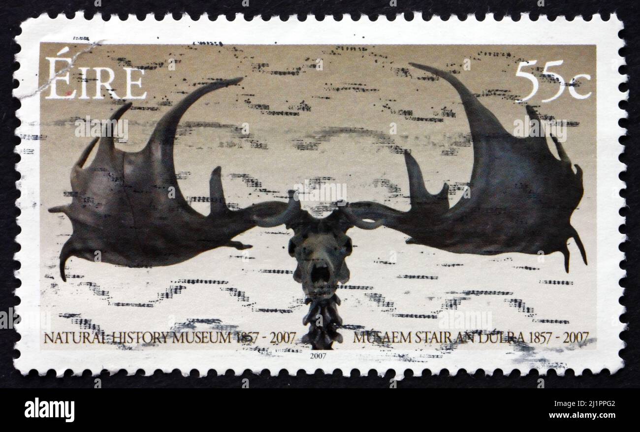 IRELAND - CIRCA 2007: a stamp printed in the Ireland shows Horns, 150th Anniversary of Natural History Museum, Dublin, circa 2007 Stock Photo