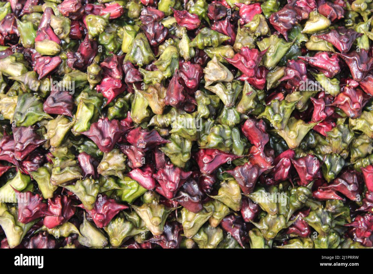 water caltrop background and many colour full water caltrop. Stock Photo