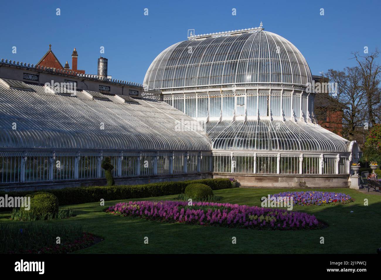 The Palm House and spring flowers in the Botanic Gardens Belfast ...