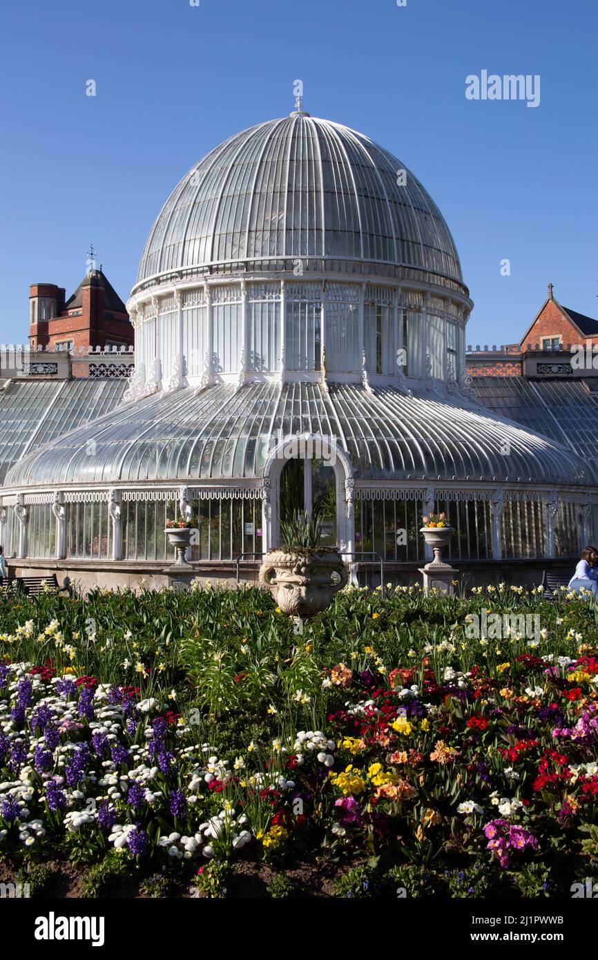 The Palm House and spring flowers in the Botanic Gardens Belfast ...