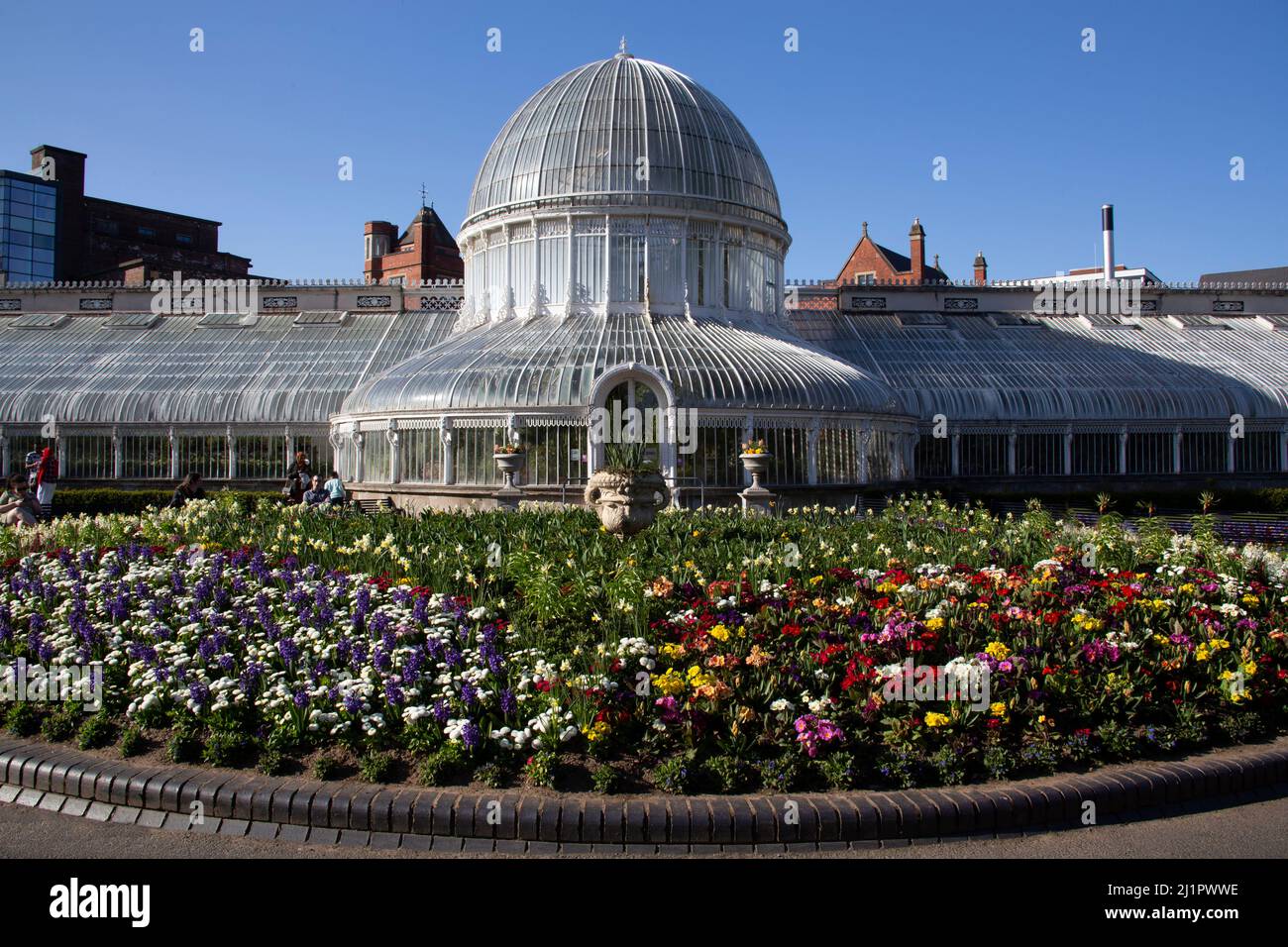The Palm House and spring flowers in the Botanic Gardens Belfast
