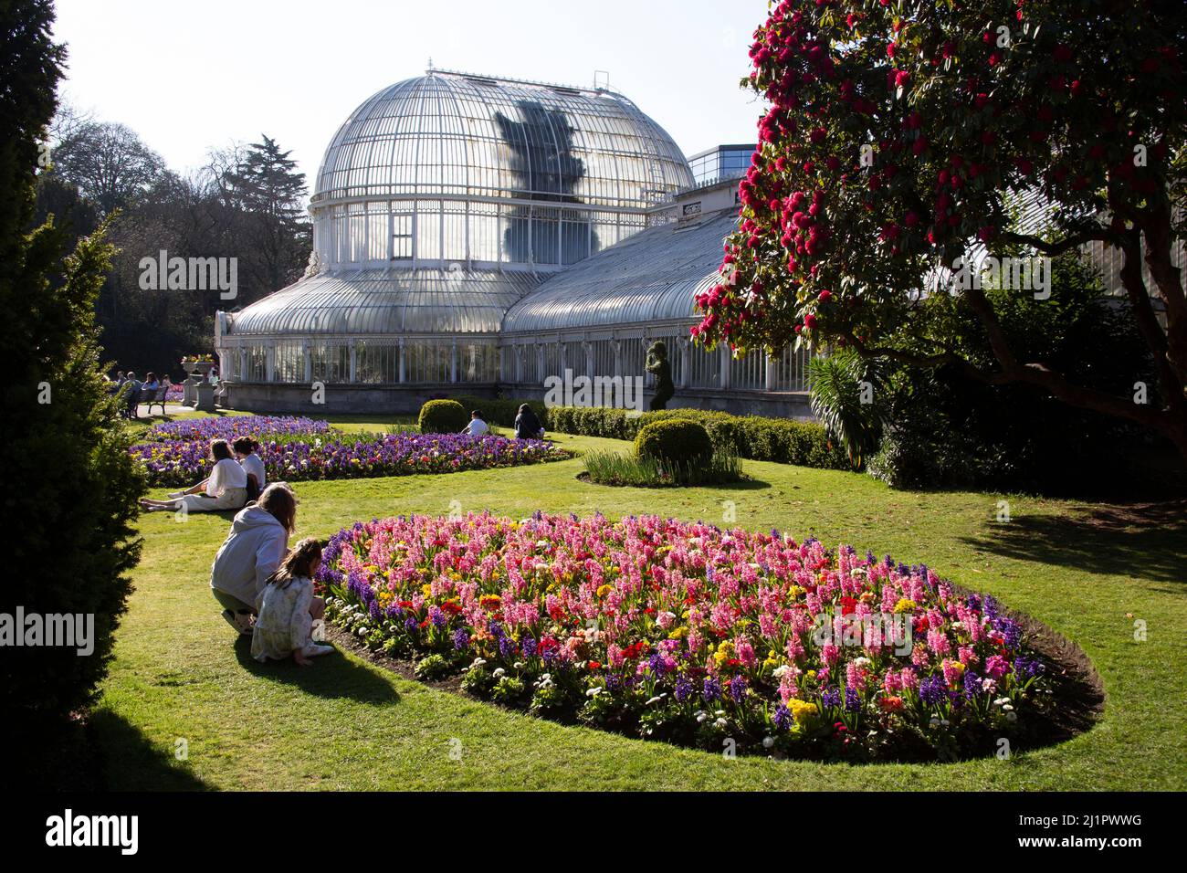 The Palm House and spring flowers in the Botanic Gardens Belfast ...