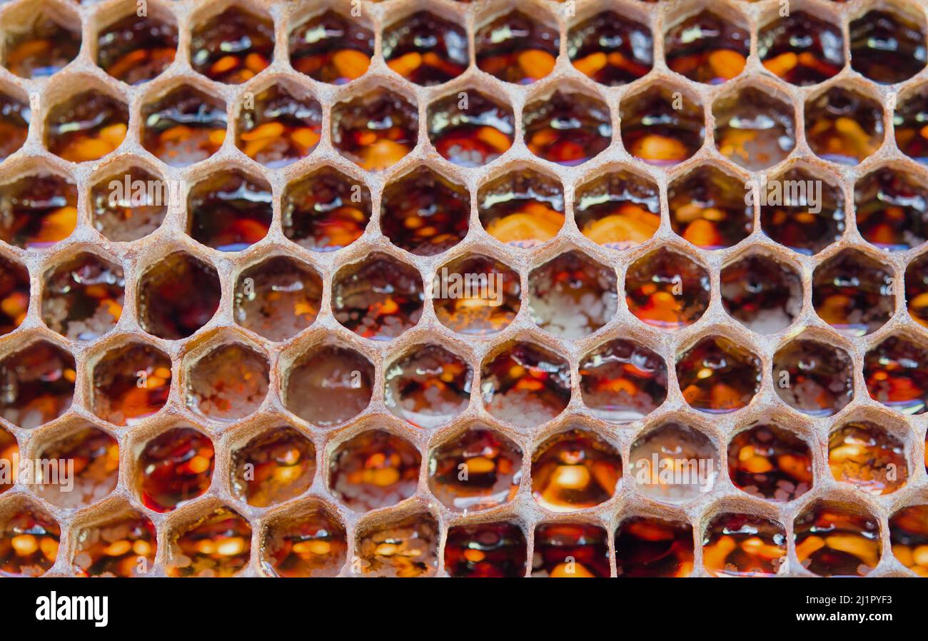 Honeycomb frame filled natural hi-res stock photography and images - Alamy