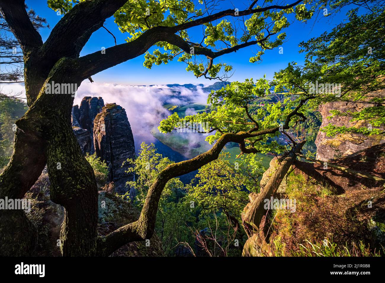Landscape with rock formations and the Elbe valley covered in fog in Rathen area of the Saxon Switzerland National Park at sunrise. Stock Photo