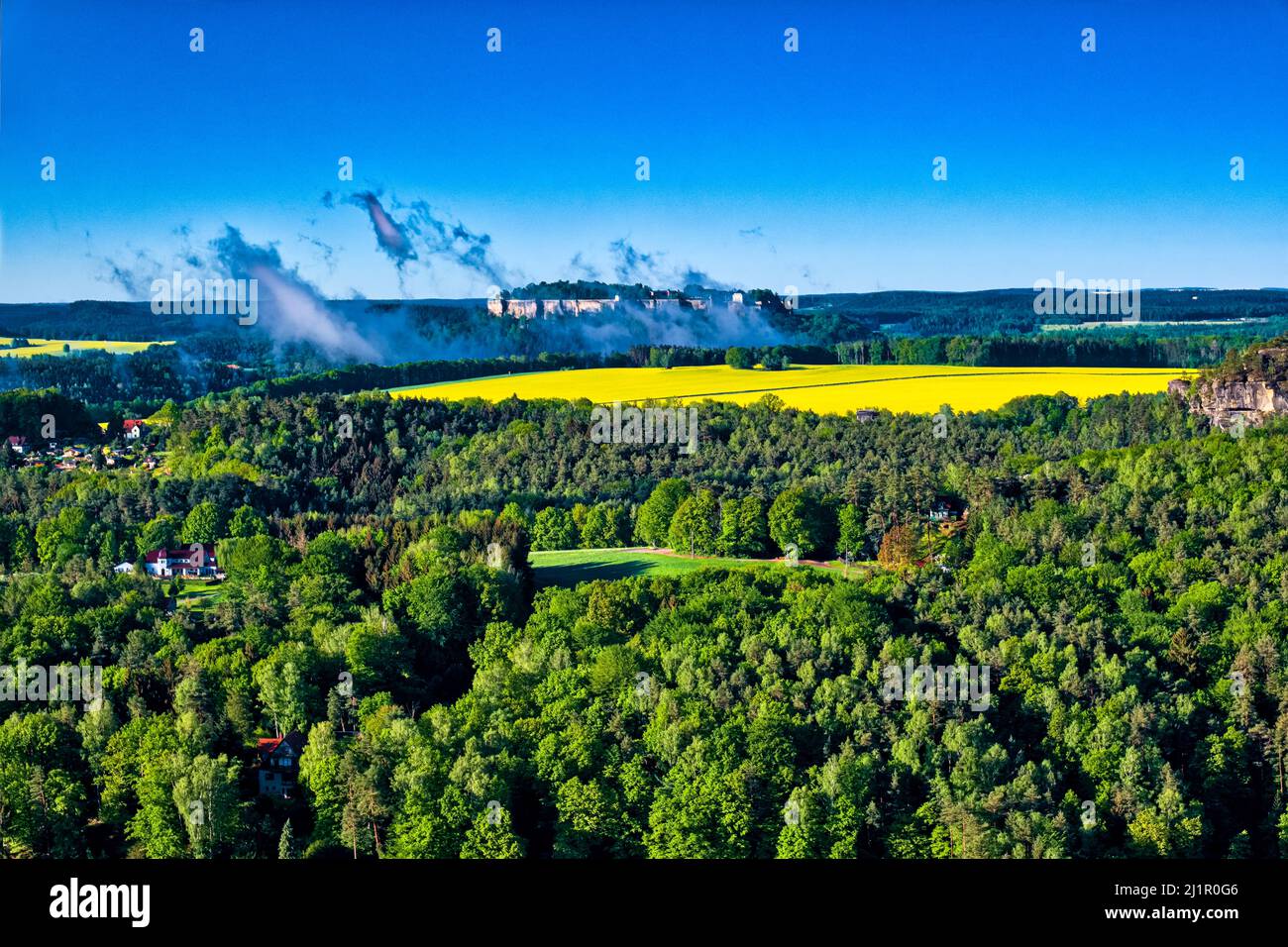 Landscape with Rapeseed (Brassica napus) fields and the castle Festung Königstein in Rathen area of the Saxon Switzerland National Park. Stock Photo