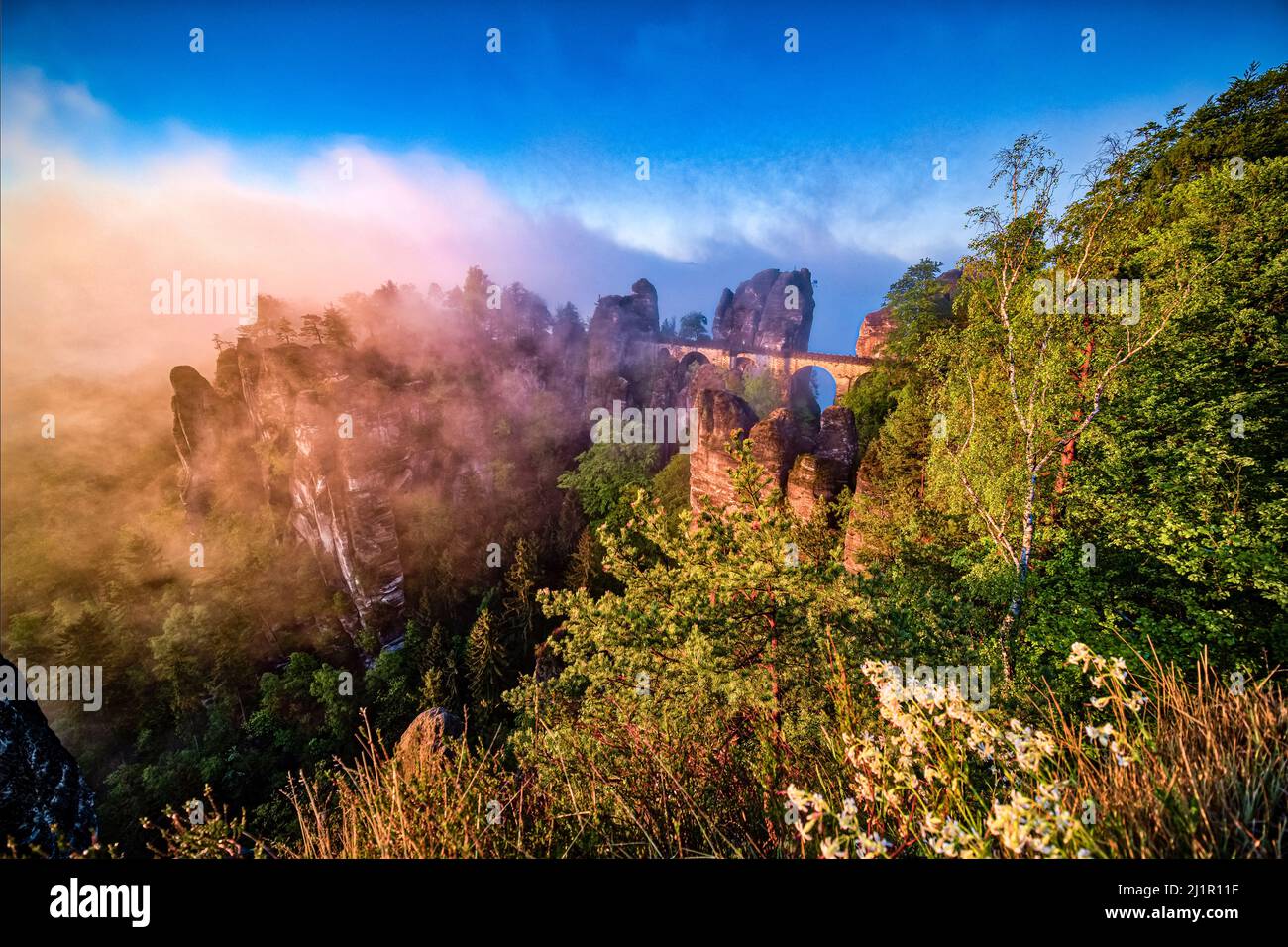 Landscape with the rock formations Felsenburg Neurathen and Bastei covered in fog in Rathen area of the Saxon Switzerland National Park at sunrise. Stock Photo