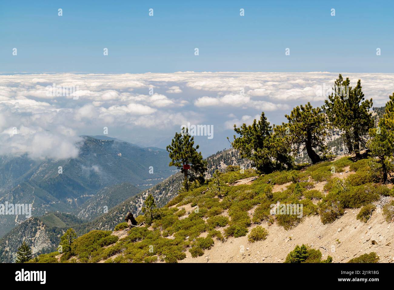 Curated visual reference: Particularly Mount Baldy Reference: View Mt Baldy Trail Hi Res Stock Photography And Images