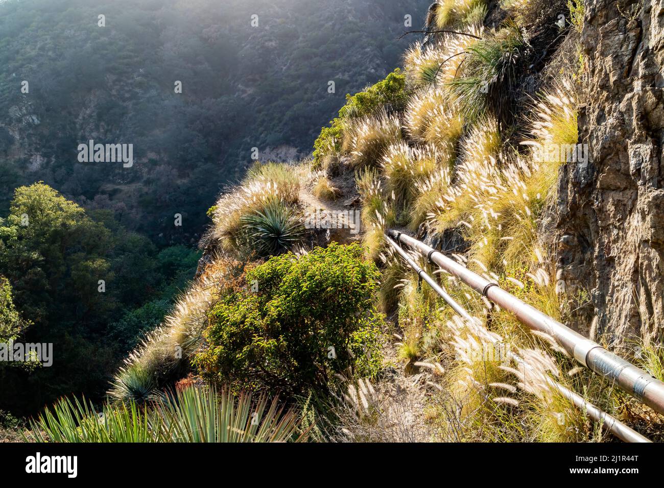 Sunny view of hiking in a rural trail of San Gabriel Mountains at Los