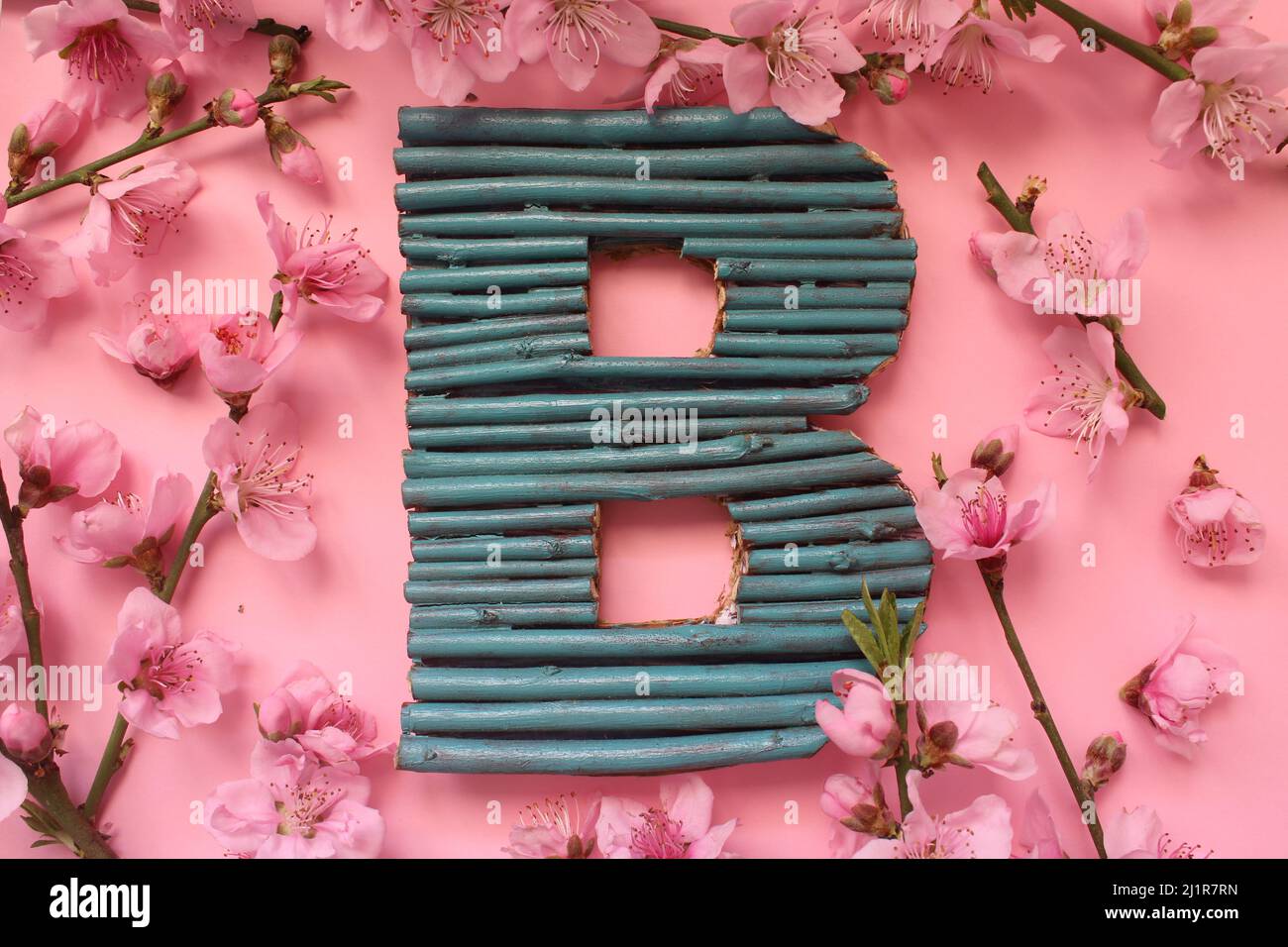 Letter B, handmade with twig blue letter b between flowers in spring time.Top view and isolated on pink background. Stock Photo