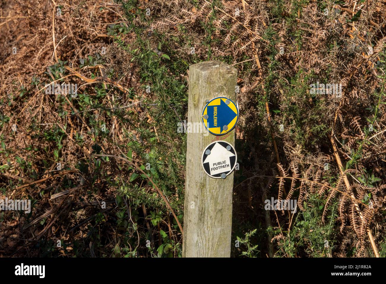 One public footpath sign white on black and one bridleway blue on yellow, both discs on a timber post with dried bracken in background Stock Photo