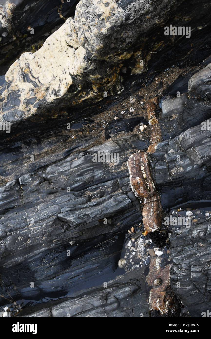 Crackington Haven beach showing the geological formation of mudstones and sandstones with veins of calcite and quartz.Cornwall.UK Stock Photo