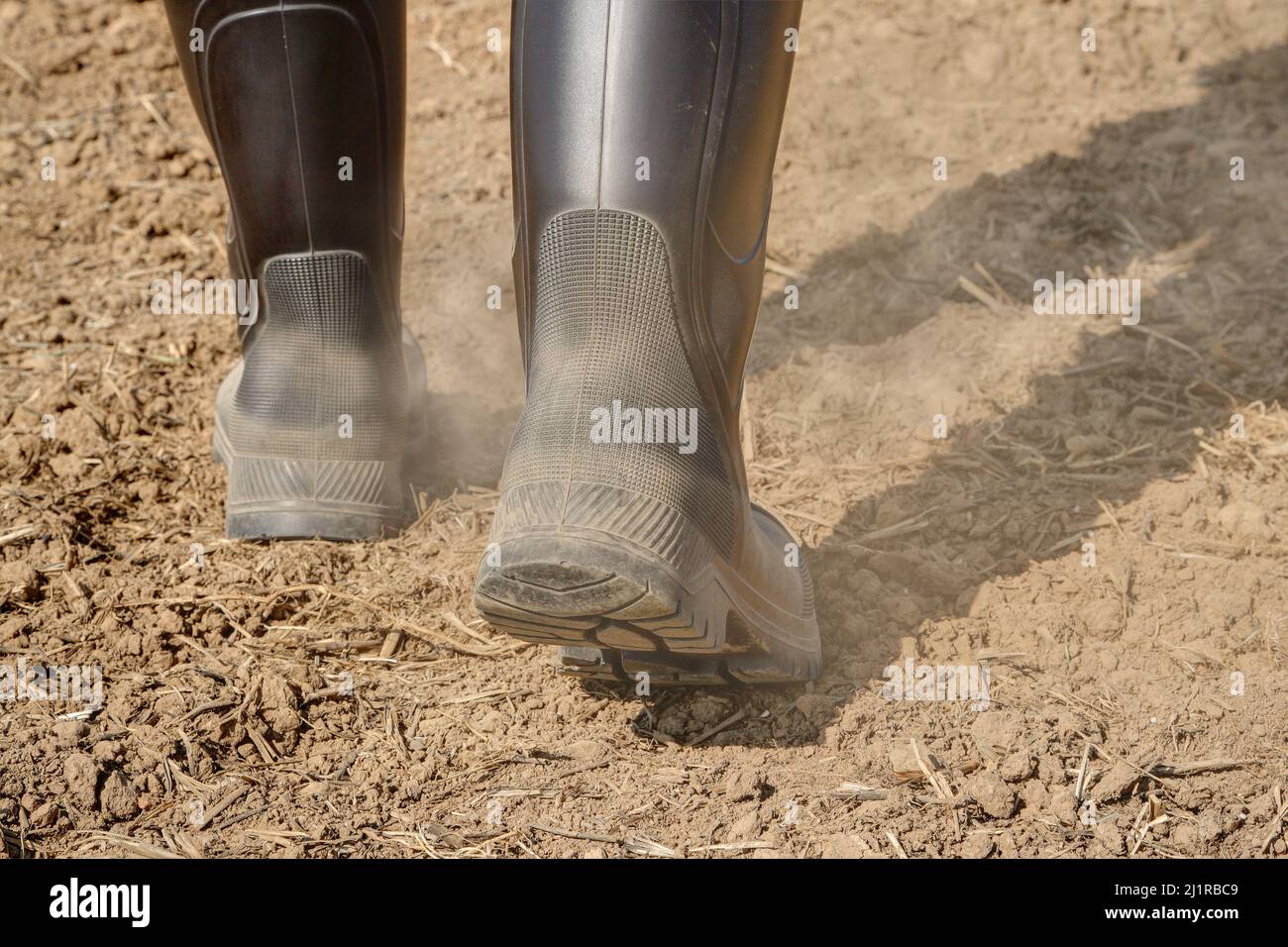 Farmer in boots walks across hi-res stock photography and images - Alamy