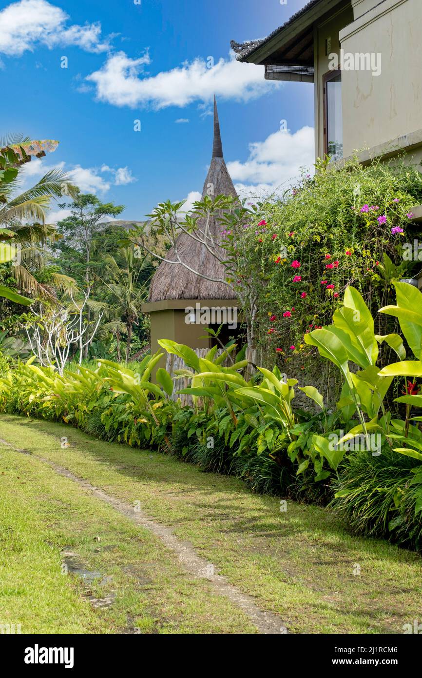 Path with tropical plants leading to hut with straw roof and blue sky with scattered white clouds in Indonesian village Stock Photo